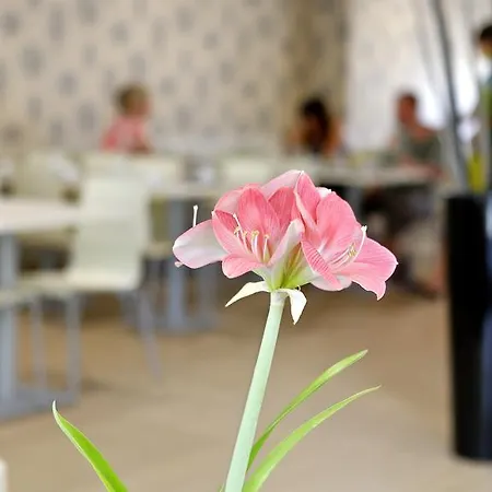 호텔 Cova Da Iria 3*