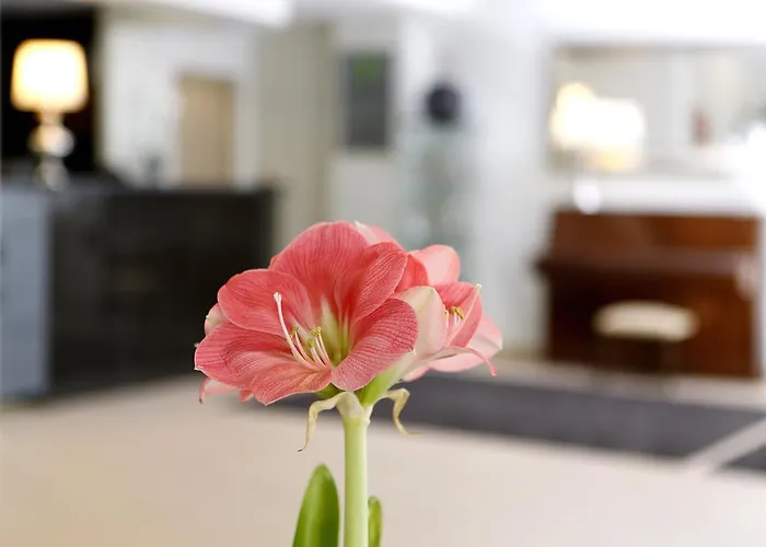 Cova Da Iria 3* Fátima